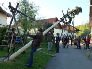 Maibaum Palmsdorf 2016