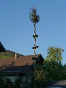 Maibaum Attersee 2016